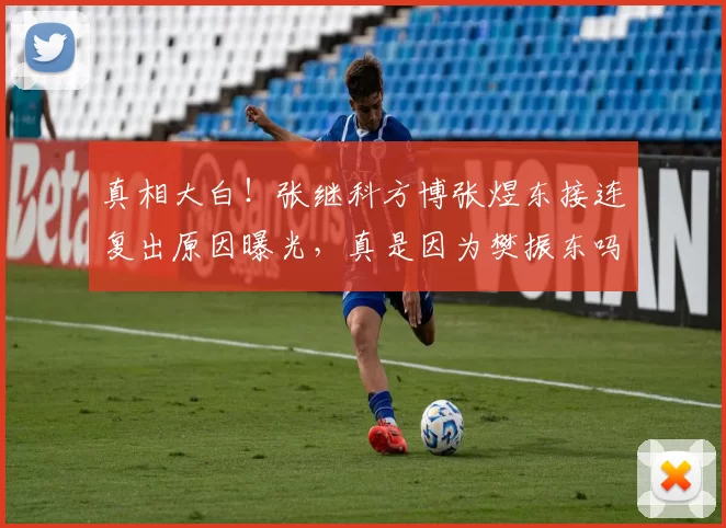 真相大白！张继科方博张煜东接连复出原因曝光，真是因为樊振东吗