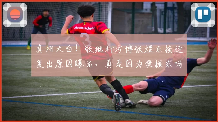 真相大白！张继科方博张煜东接连复出原因曝光，真是因为樊振东吗