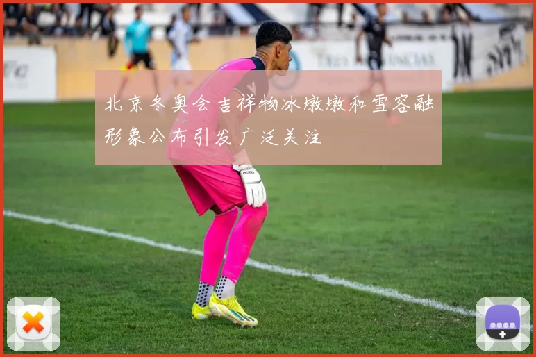 北京冬奥会吉祥物冰墩墩和雪容融形象公布引发广泛关注
