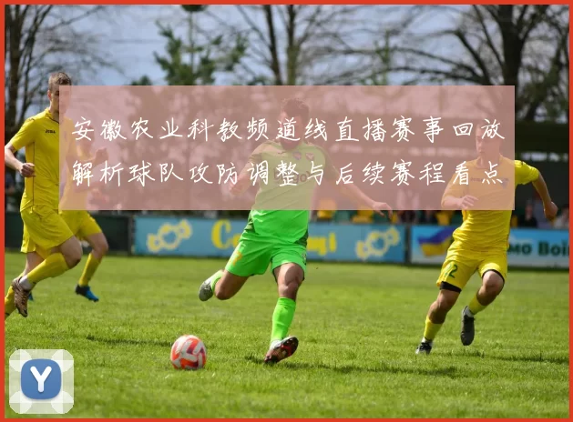 安徽农业科教频道线直播赛事回放解析球队攻防调整与后续赛程看点